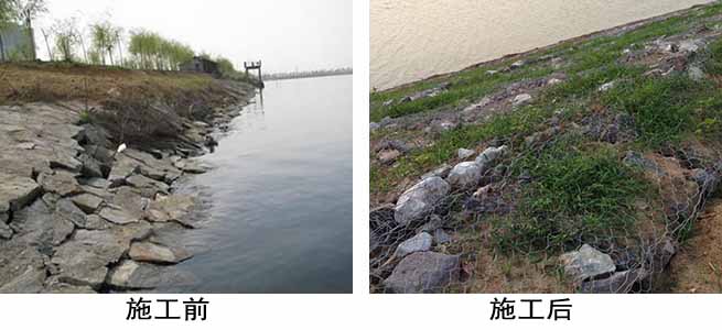 格賓網(wǎng)生態(tài)護岸