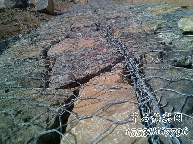 雷諾護墊 雷諾護墊