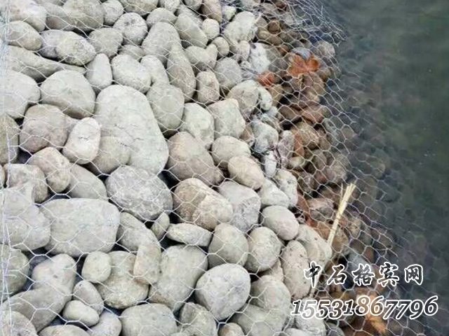 賓格網(wǎng).jpg 賓格網(wǎng).jpg