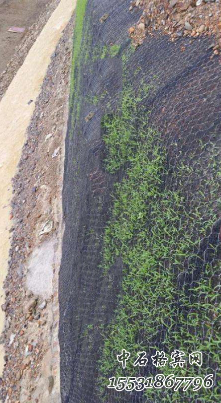 加筋三維鋼絲網(wǎng)墊護(hù)坡 加筋三維鋼絲網(wǎng)墊護(hù)坡