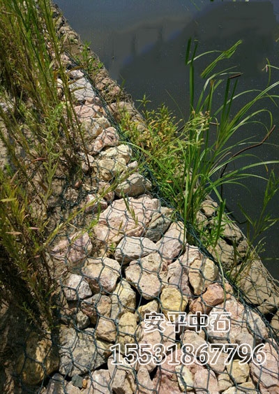 格賓網(wǎng)護岸.jpg 格賓網(wǎng)護岸.jpg