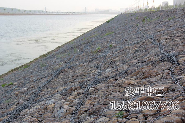 雷諾護(hù)墊 雷諾護(hù)墊